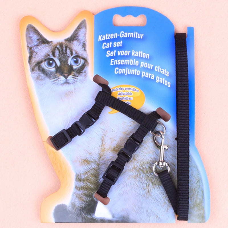 Cat leash I-shaped special dog leash for going out is firm and safe
